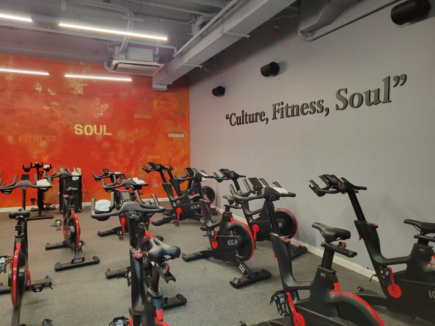 SWEAT Fitness Center's Success Going Virtual - WellnessLiving